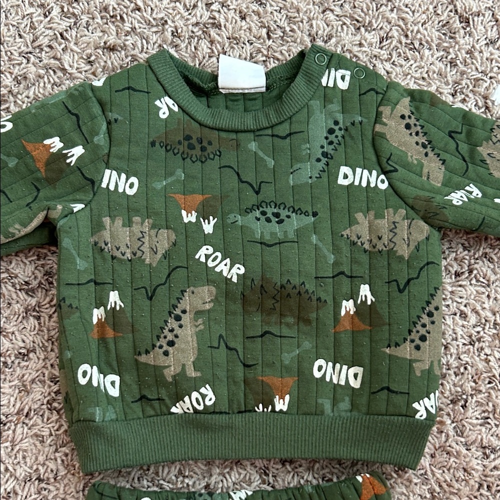 Green Dinosaur Print Sweater